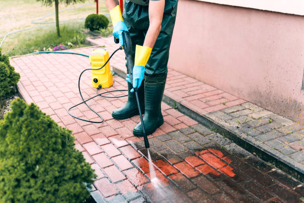Best Affordable Pressure Washing  in Buhl, MN