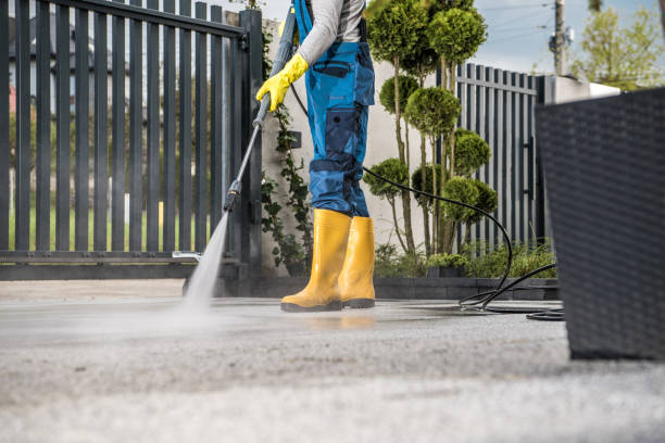 Best Commercial Building Pressure Washing  in Buhl, MN