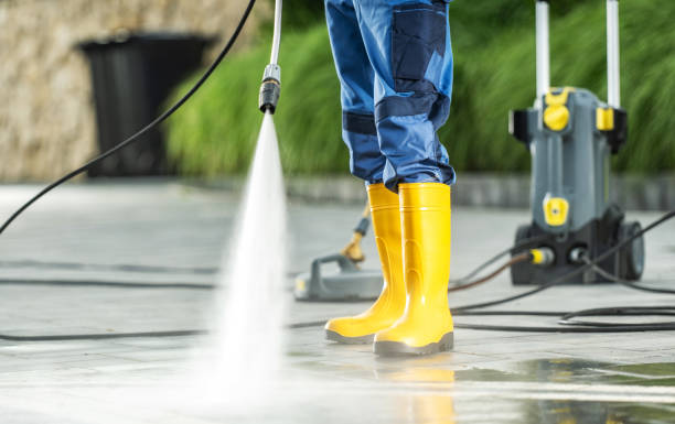 Best Fence Pressure Washing  in Buhl, MN