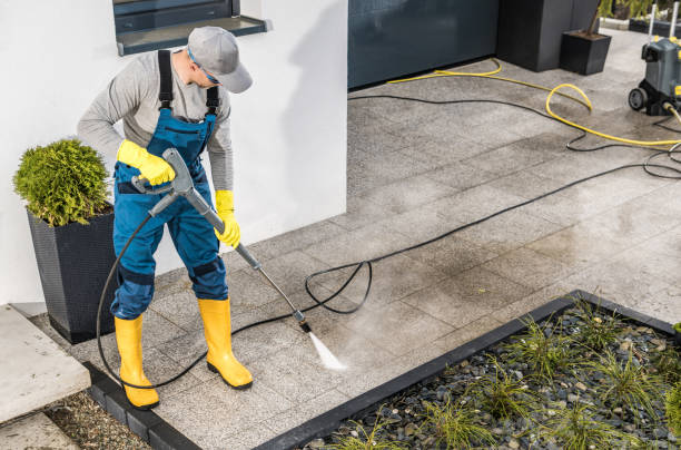 Best Deck Pressure Washing  in Buhl, MN