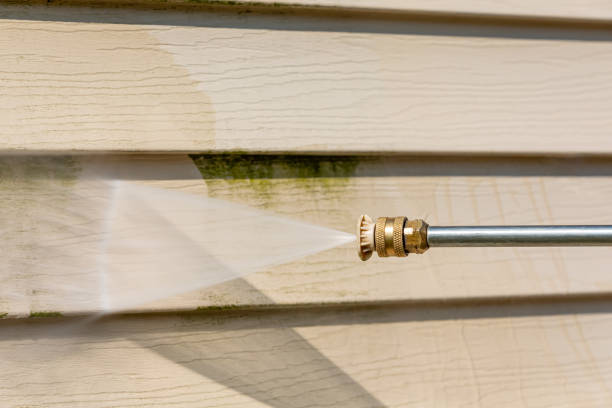 Best Exterior Home Cleaning  in Buhl, MN